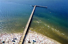 Połąga