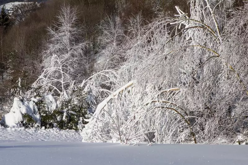 Winterurlaub in Litauen